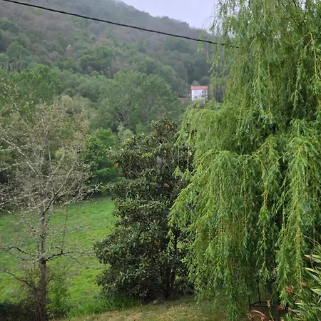 Casa Vida *